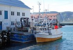 Fiskeskøyter i Honningsvåg. Foto: Harvey Barrison