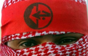 pal pflp-300x194